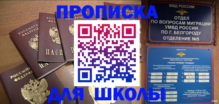 прописка гарантия в Мурманске